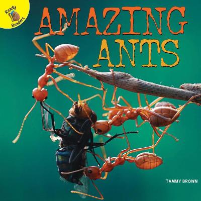 Cover of Amazing Ants