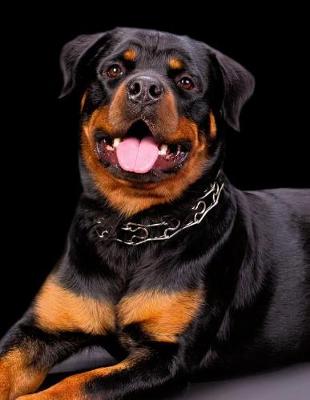 Book cover for Rottweiler Notebook