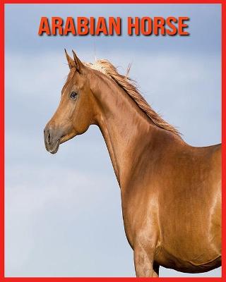 Book cover for Arabian Horse