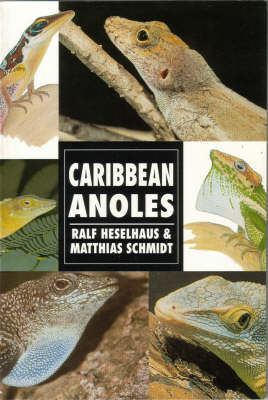 Book cover for Caribbean Anoles