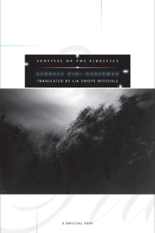 Cover of Survival of the Fireflies