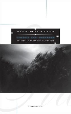 Cover of Survival of the Fireflies