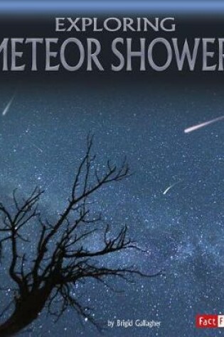 Cover of Exploring Meteor Showers (Discover the Night Sky)