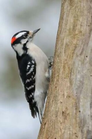 Cover of Downy Woodpecker Journal