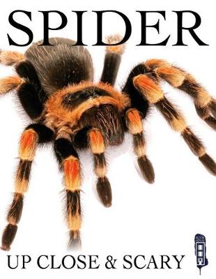 Book cover for Spider