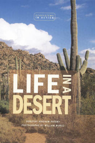 Cover of Life In A Desert