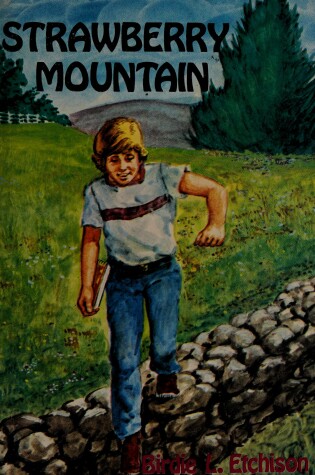 Cover of Strawberry Mountain