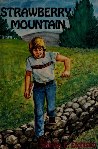 Book cover for Strawberry Mountain