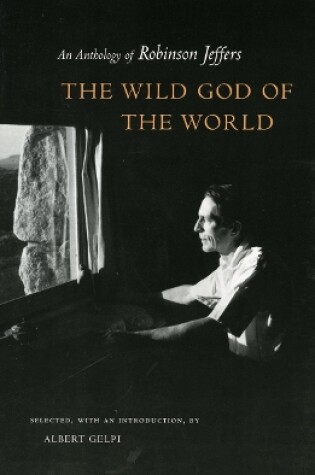 Cover of The Wild God of the World