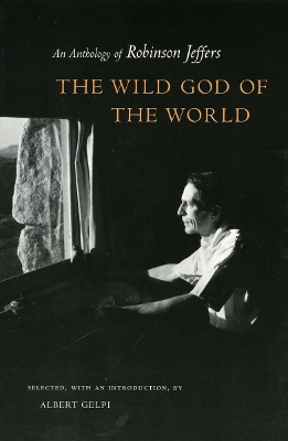 Book cover for The Wild God of the World