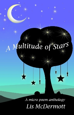 Book cover for A Multitude of Stars