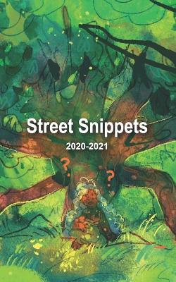 Book cover for Street Snippets