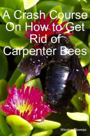 Cover of A Crash Course On How to Get Rid of Carpenter Bees