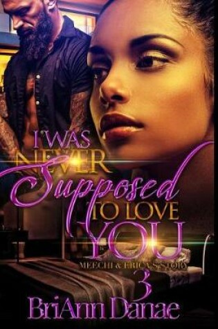 Cover of I Was Never Supposed To Love You 3