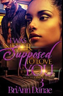 Book cover for I Was Never Supposed To Love You 3