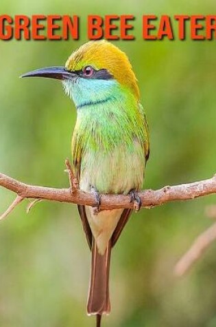 Cover of Green Bee Eater