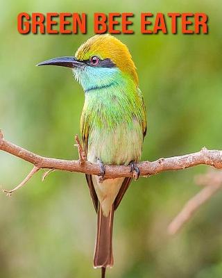 Book cover for Green Bee Eater