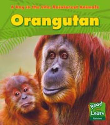 Cover of Orangutan