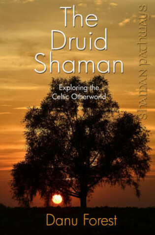 Cover of Shaman Pathways - The Druid Shaman