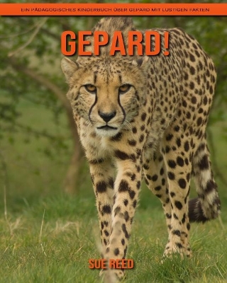 Book cover for Gepard! Ein pädagogisches Kinderbuch über Gepard mit lustigen Fakten