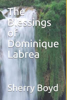 Book cover for The Blessings of Dominique Labrea