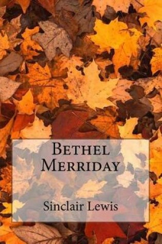 Cover of Bethel Merriday