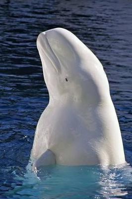 Book cover for The Beluga White Whale Journal