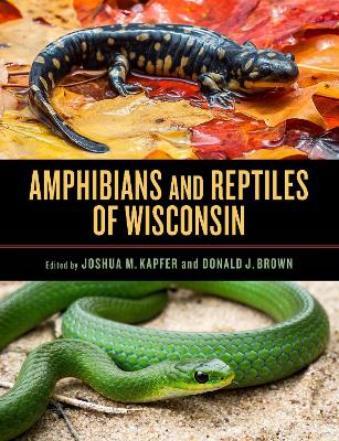 Cover of Amphibians and Reptiles of Wisconsin