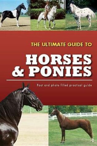 Cover of The Ultimate Guide to Horses & Ponies