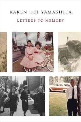 Book cover for Letters to Memory
