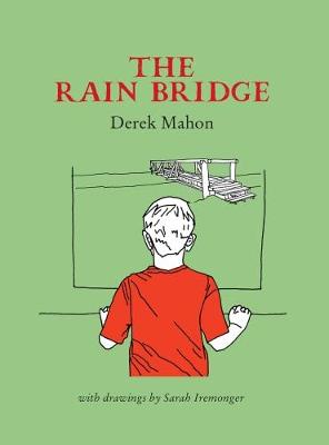 Book cover for The Rain Bridge