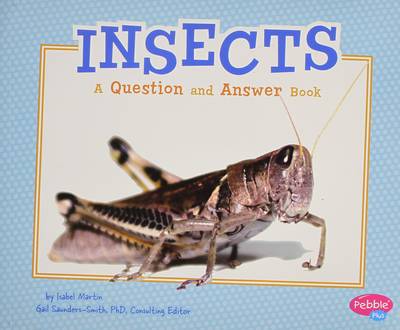 Book cover for Insects: a Question and Answer Book (Animal Kingdom Questions and Answers)