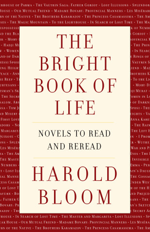 Book cover for The Bright Book of Life