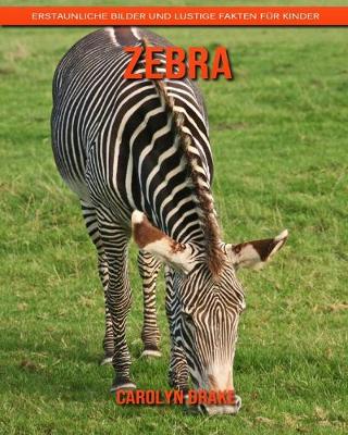 Book cover for Zebra