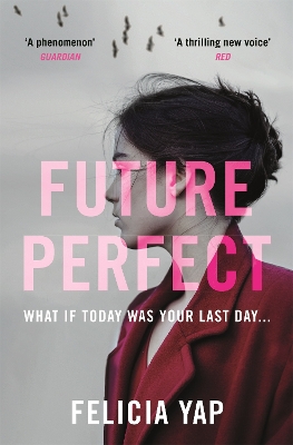 Book cover for Future Perfect