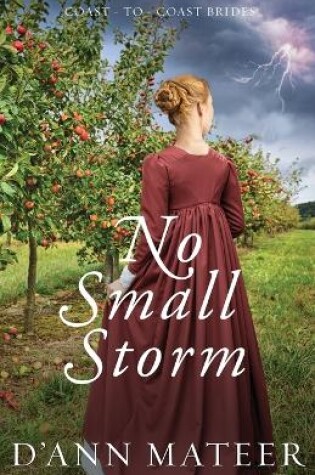 Cover of No Small Storm