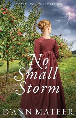 Book cover for No Small Storm