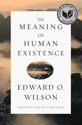 Book cover for The Meaning of Human Existence