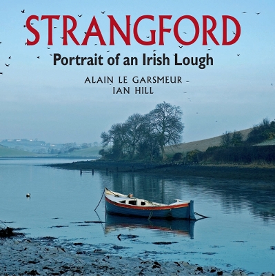 Book cover for Strangford