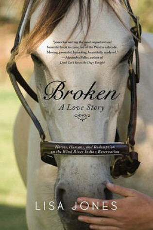 Cover of Broken