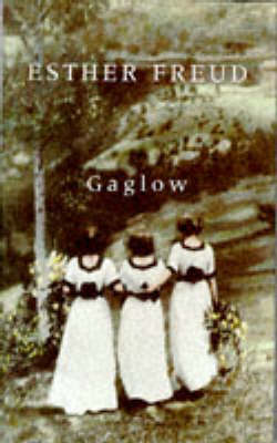 Book cover for The Gaglow