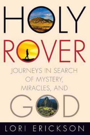 Cover of Holy Rover