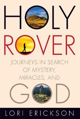 Book cover for Holy Rover