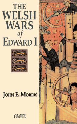 Book cover for Welsh Wars Of Edward I