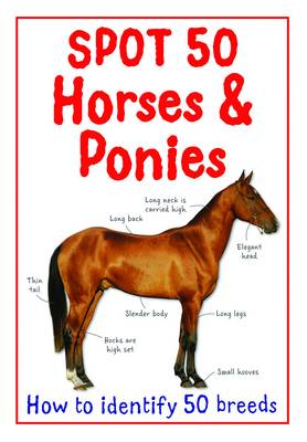Book cover for Spot 50 Horses and Ponies