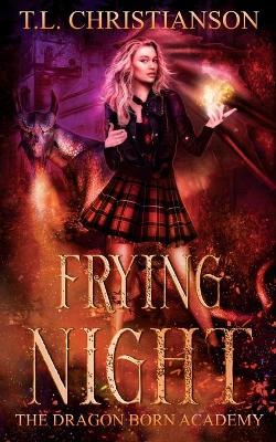 Book cover for Frying Night