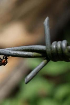 Book cover for Barbed Wire Fly Notebook