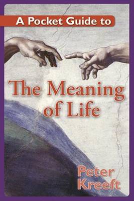 Book cover for A Pocket Guide to the Meaning of Life