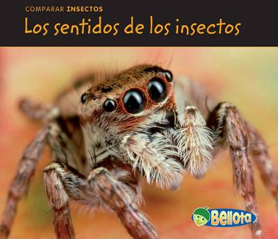 Book cover for Los Sentidos de Los Insectos