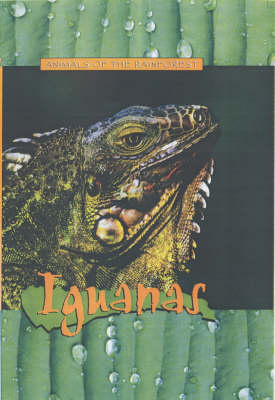 Book cover for Iguanas